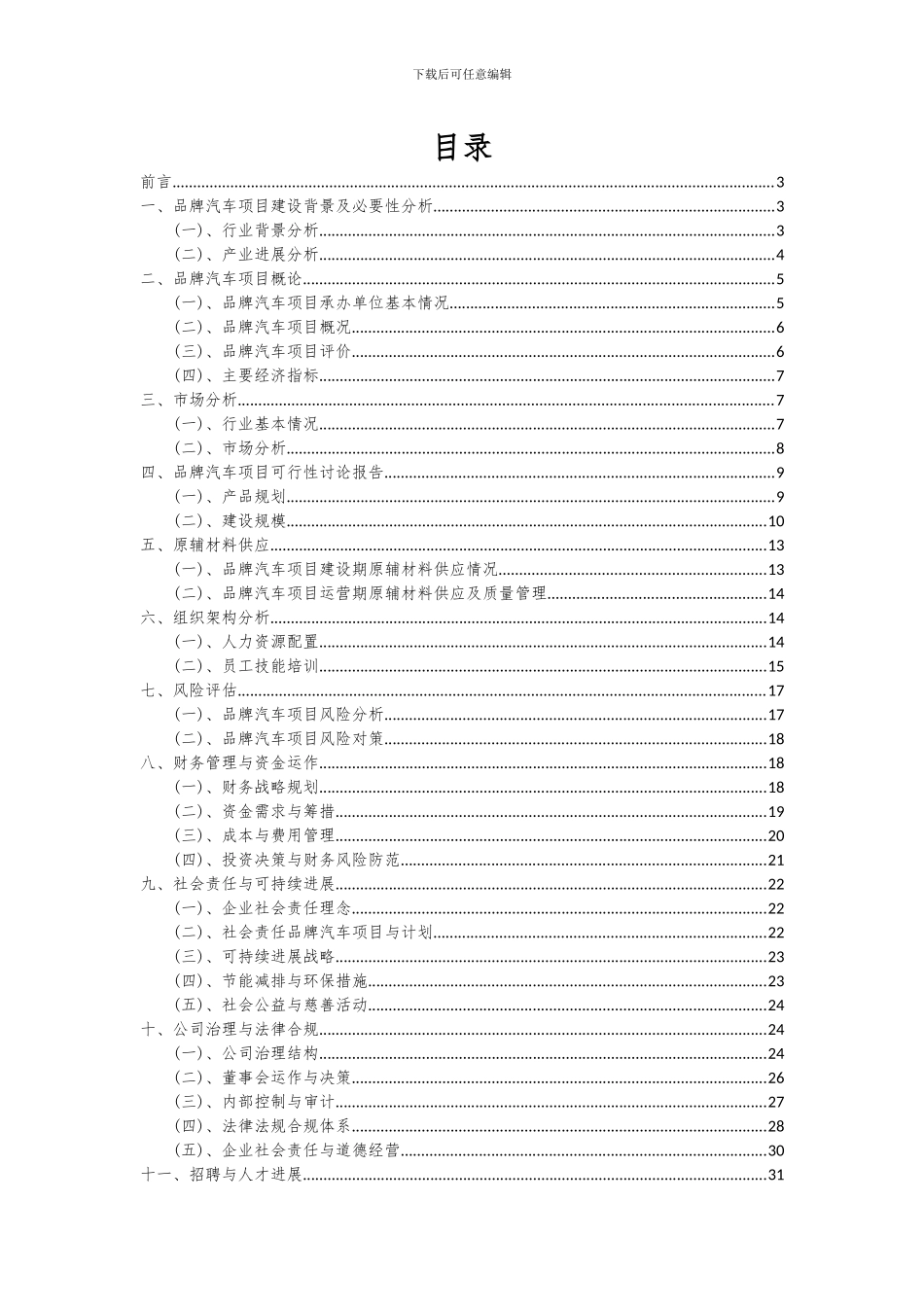2024年品牌汽车项目可行性研究报告_第2页