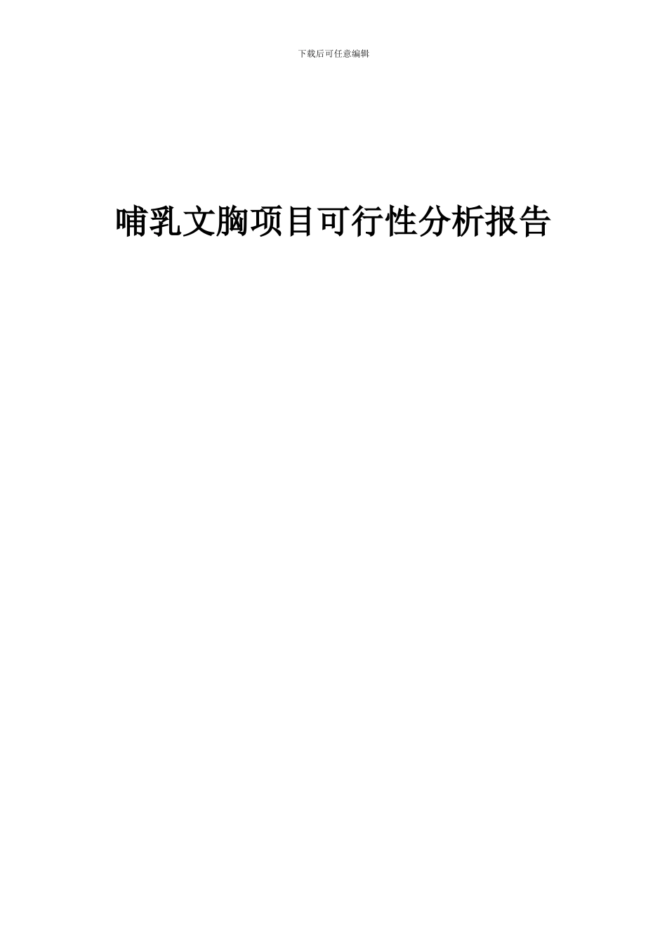 2024年哺乳文胸项目可行性分析报告_第1页