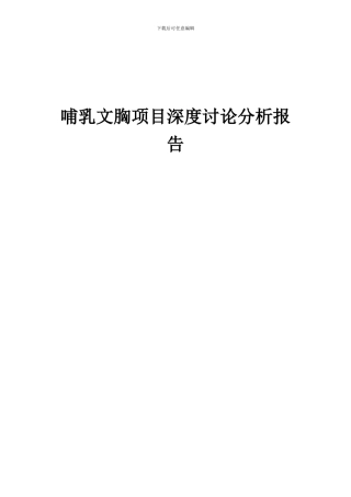 2024年哺乳文胸项目深度研究分析报告