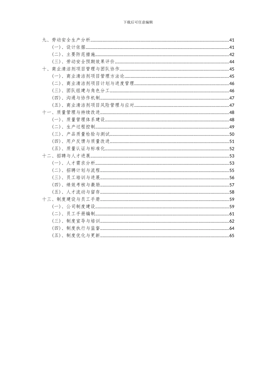 2024年商业清洁剂项目可行性分析报告_第3页