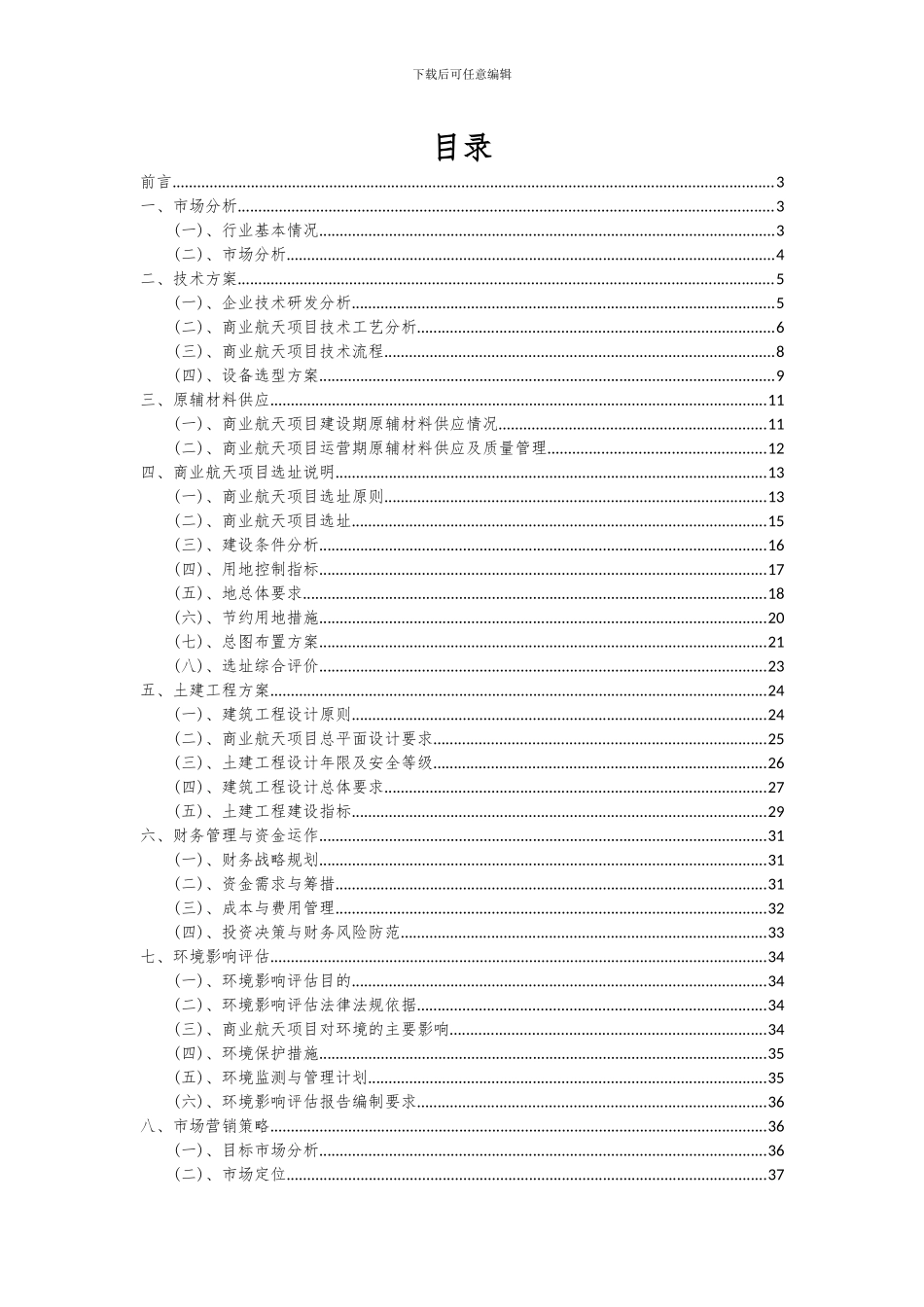 2024年商业航天项目可行性研究报告_第2页