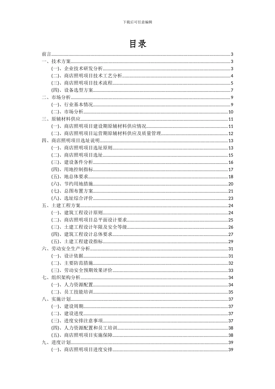 2024年商店照明项目可行性分析报告_第2页