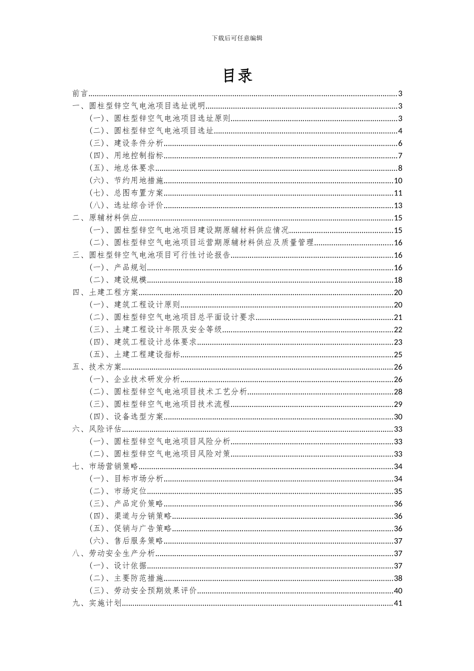 2024年圆柱型锌空气电池项目可行性研究报告_第2页