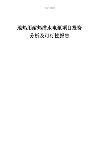 2024年地热用耐热潜水电泵项目投资分析及可行性报告