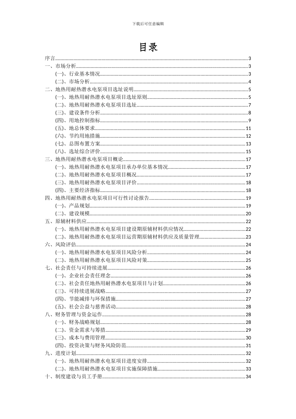 2024年地热用耐热潜水电泵项目可行性分析报告_第2页