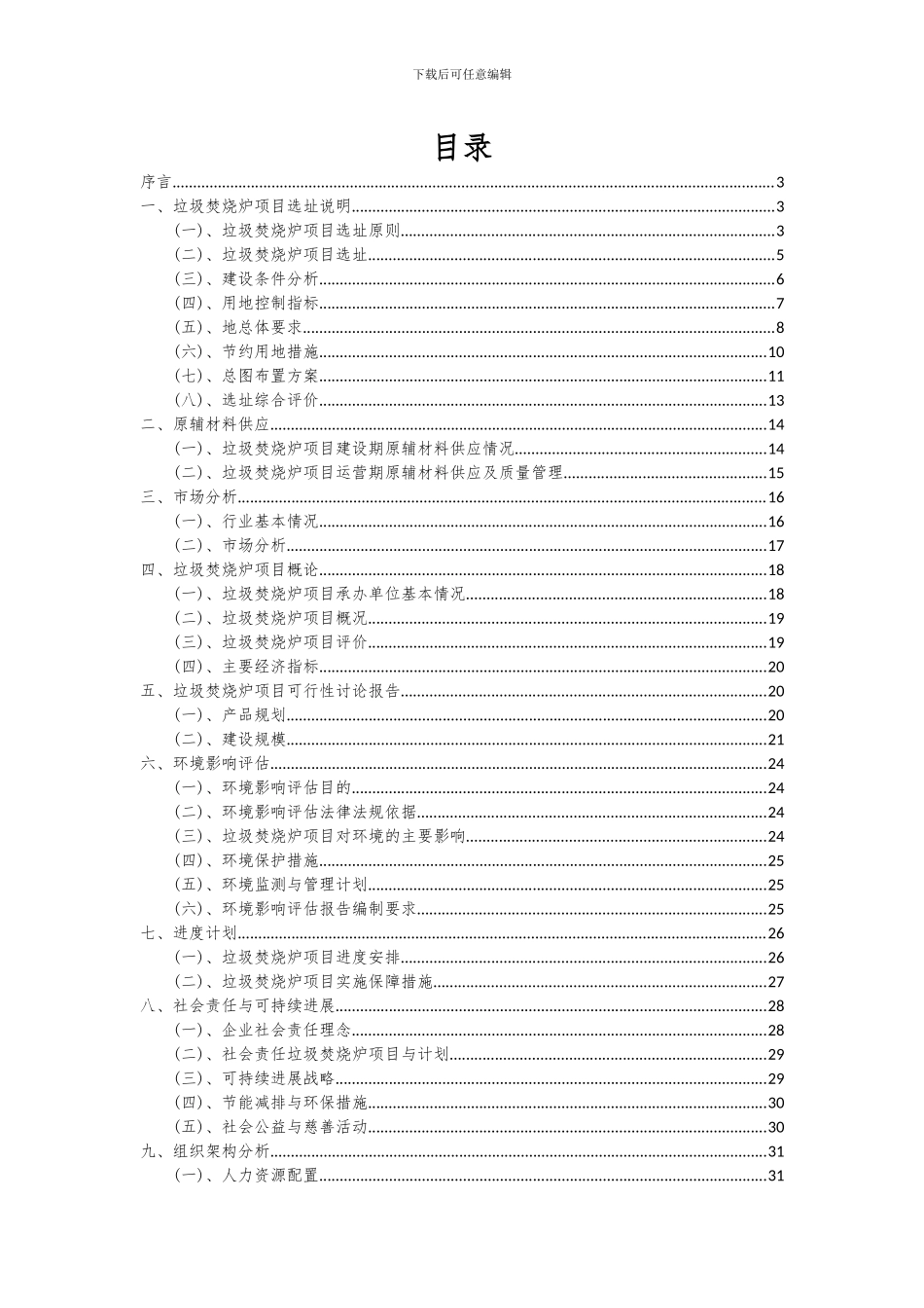 2024年垃圾焚烧炉项目可行性分析报告_第2页