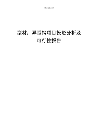 2024年型材：异型钢项目投资分析及可行性报告
