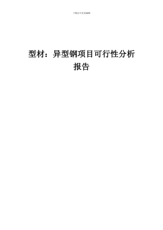 2024年型材：异型钢项目可行性分析报告
