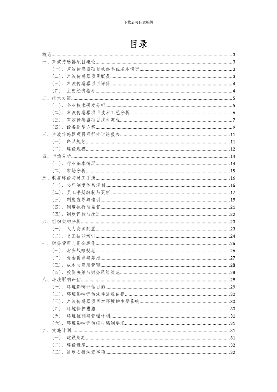 2024年声波传感器项目可行性研究报告_第2页