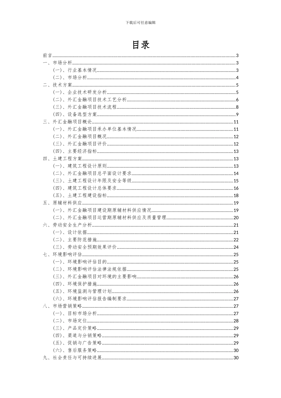 2024年外汇金融项目深度研究分析报告_第2页
