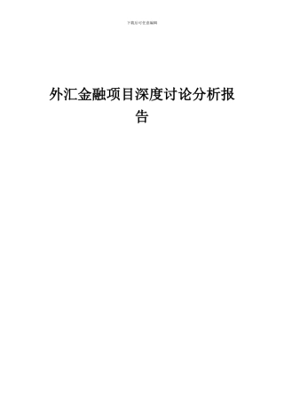 2024年外汇金融项目深度研究分析报告