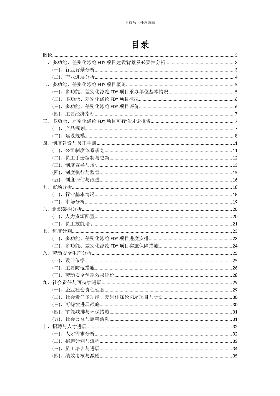 2024年多功能、差别化涤纶FDY项目深度研究分析报告_第2页