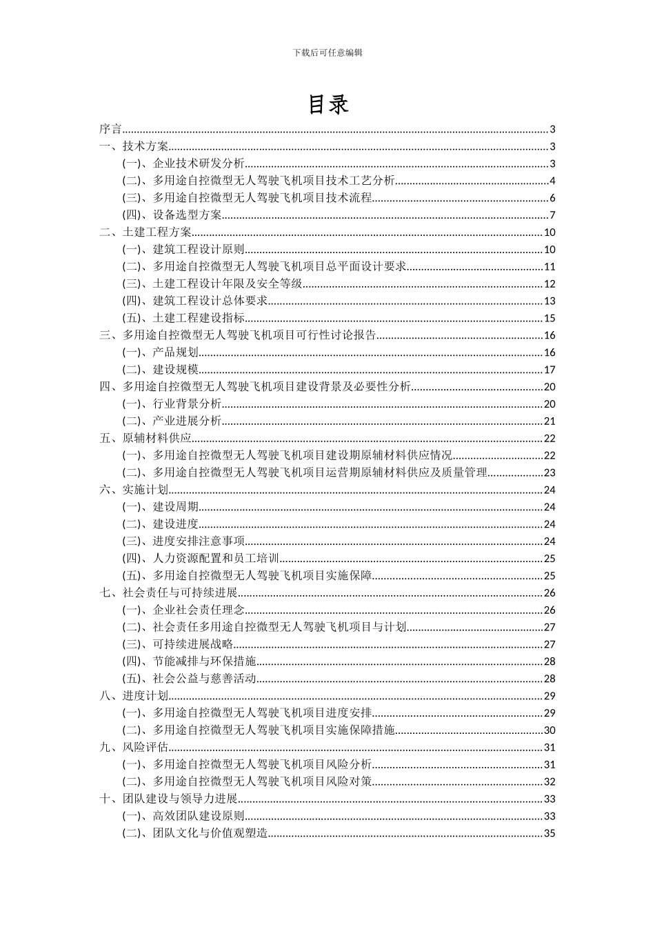 2024年多用途自控微型无人驾驶飞机项目可行性分析报告_第2页