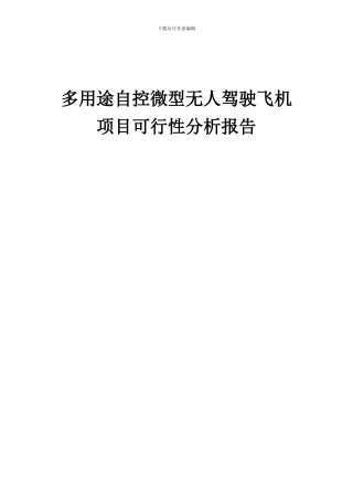 2024年多用途自控微型无人驾驶飞机项目可行性分析报告