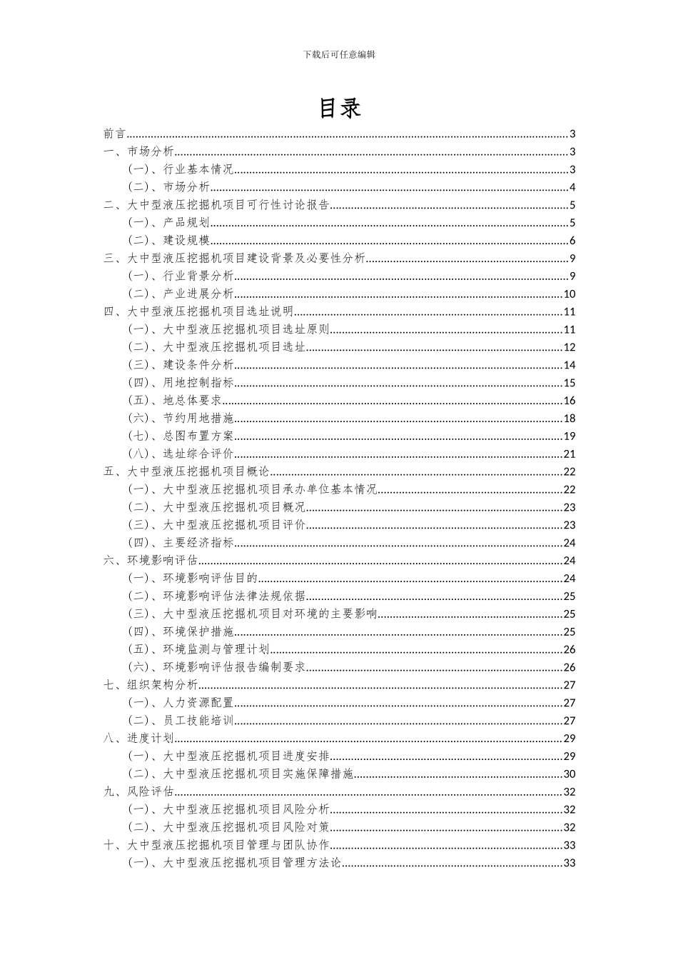 2024年大中型液压挖掘机项目可行性研究报告_第2页