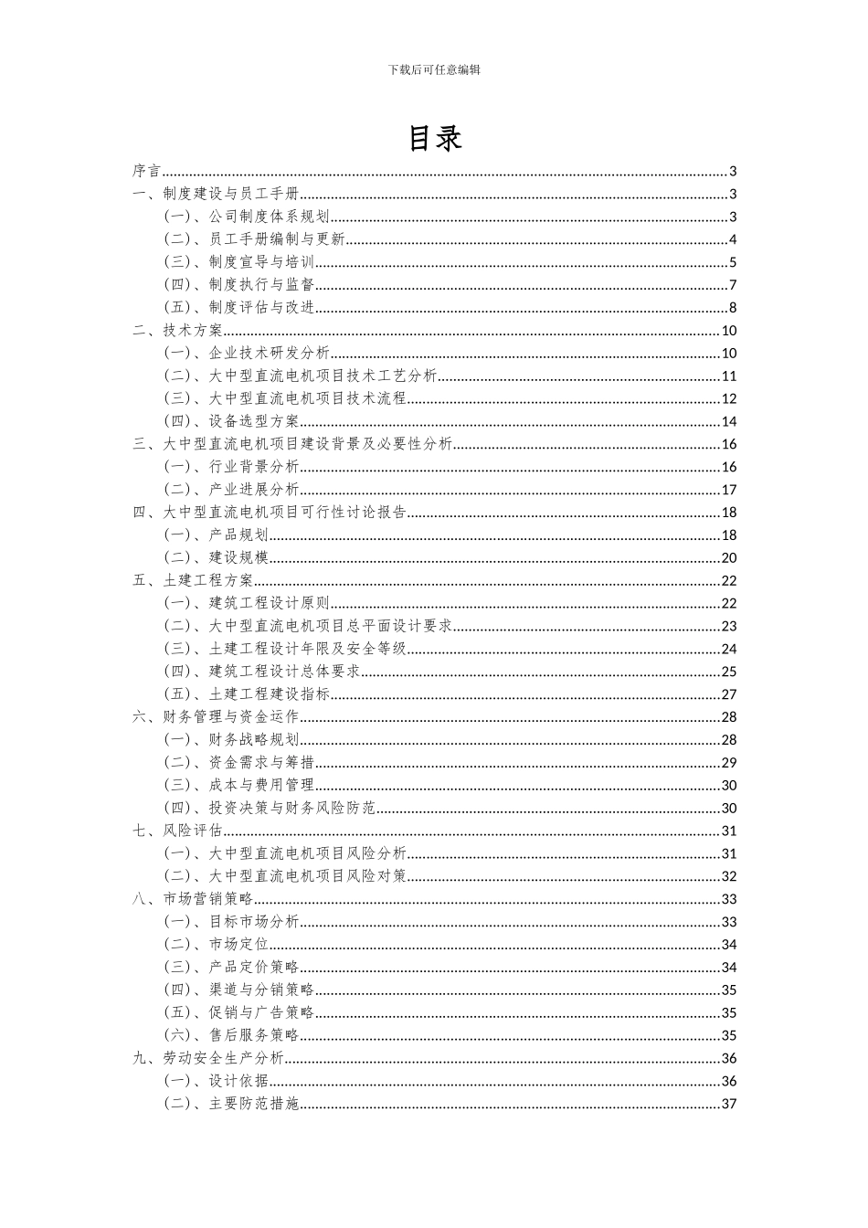 2024年大中型直流电机项目可行性研究报告_第2页