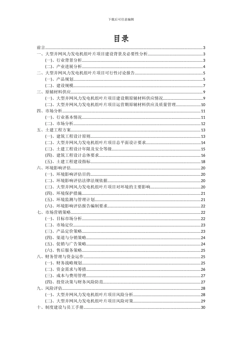 2024年大型并网风力发电机组叶片项目投资分析及可行性报告_第2页