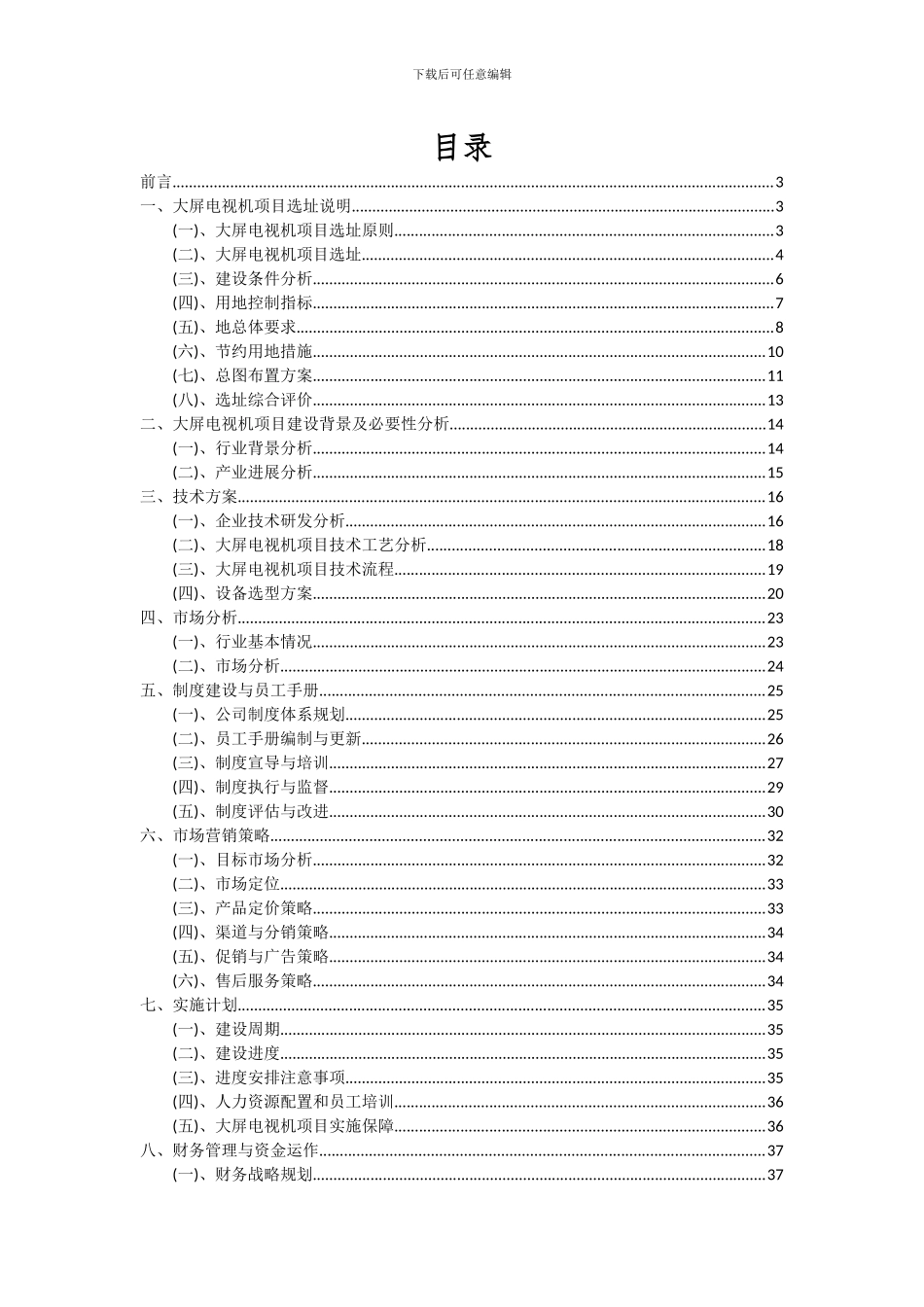 2024年大屏电视机项目深度研究分析报告_第2页