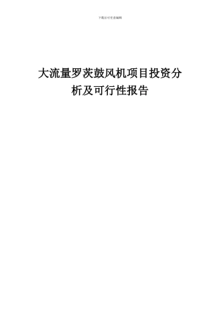 2024年大流量罗茨鼓风机项目投资分析及可行性报告