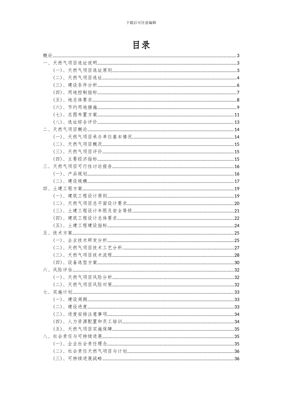 2024年天然气项目可行性分析报告_第2页