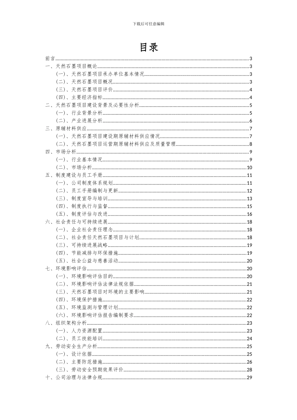2024年天然石墨项目可行性研究报告_第2页