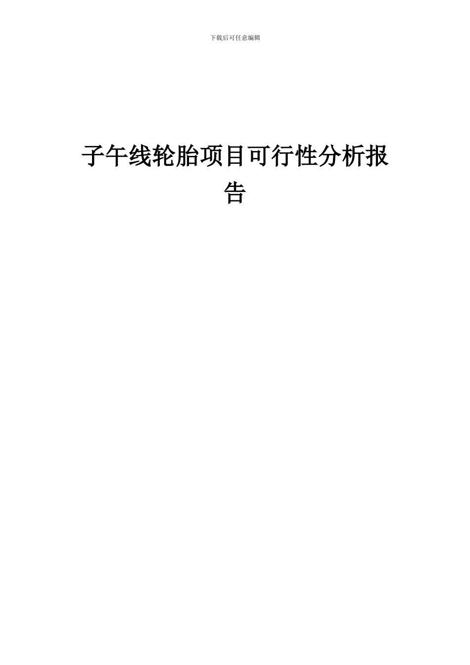 2024年子午线轮胎项目可行性分析报告_第1页