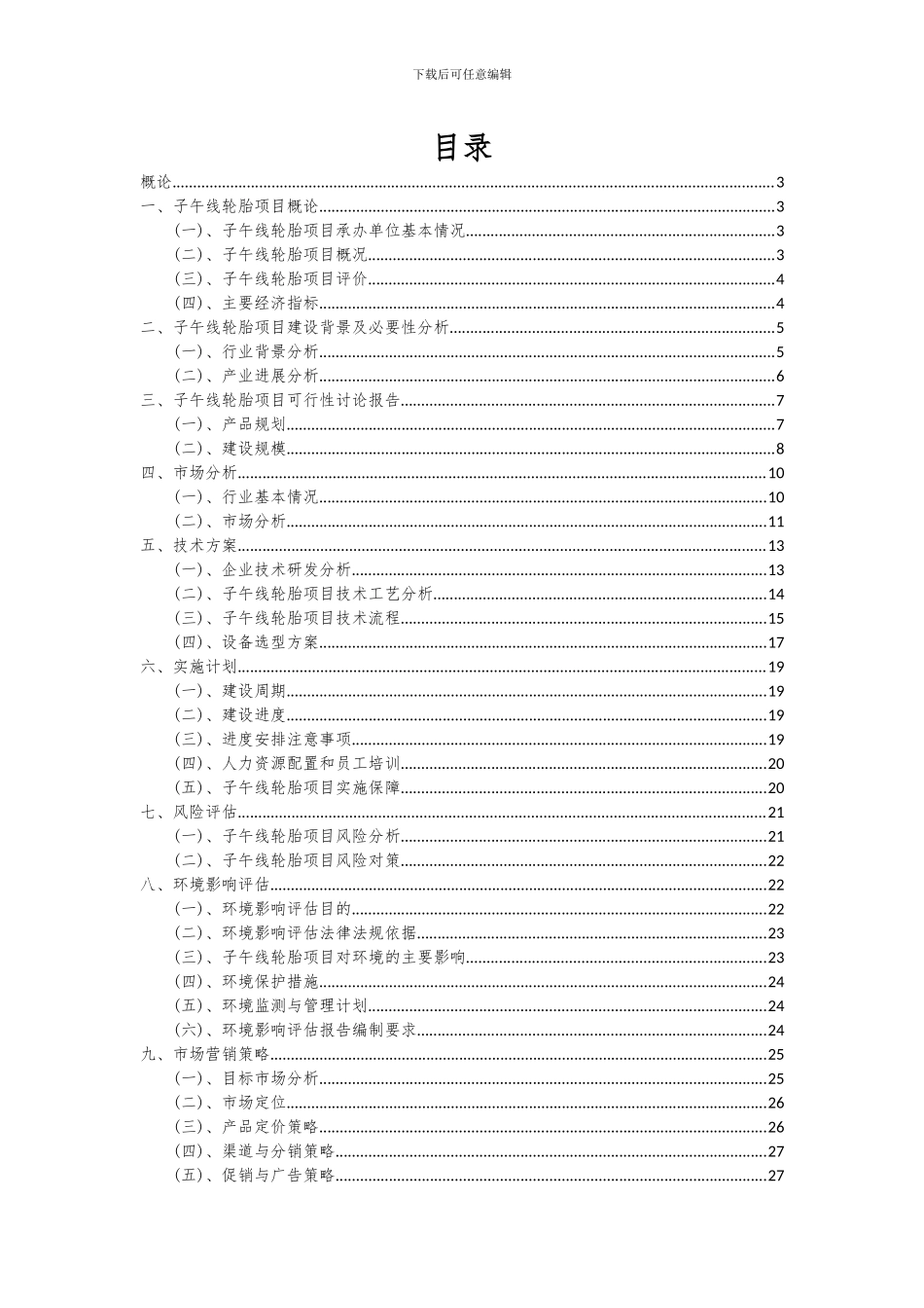 2024年子午线轮胎项目可行性分析报告_第2页