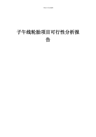 2024年子午线轮胎项目可行性分析报告