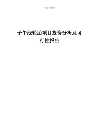 2024年子午线轮胎项目投资分析及可行性报告