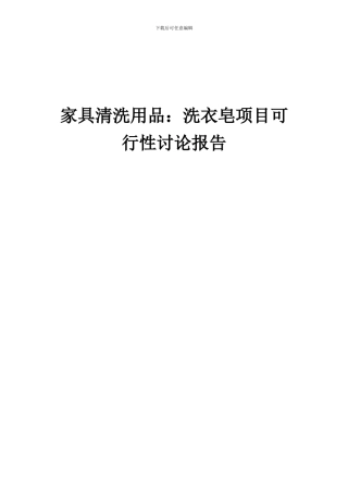 2024年家具清洗用品：洗衣皂项目可行性研究报告