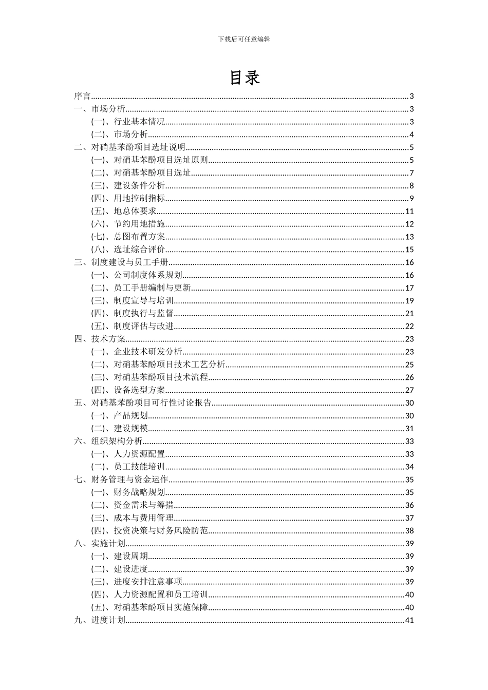 2024年对硝基苯酚项目可行性研究报告_第2页