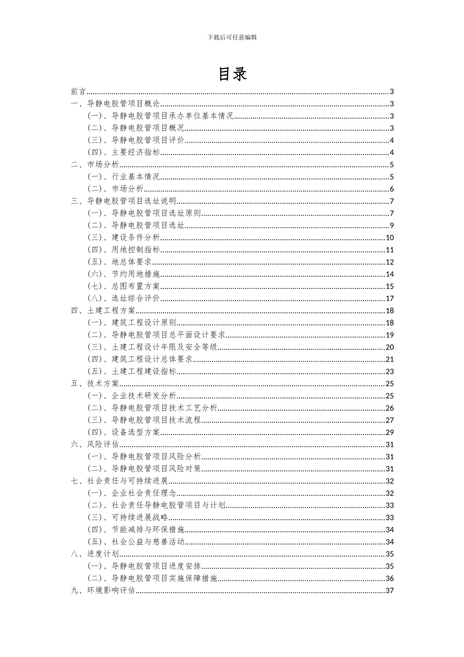 2024年导静电胶管项目投资分析及可行性报告_第2页