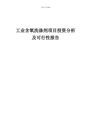 2024年工业含氧洗涤剂项目投资分析及可行性报告