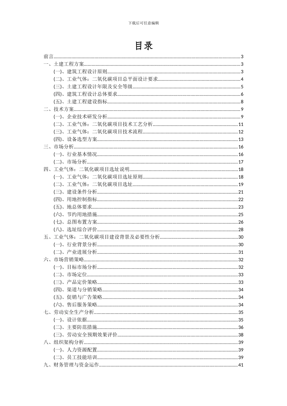 2024年工业气体：二氧化碳项目可行性分析报告_第2页