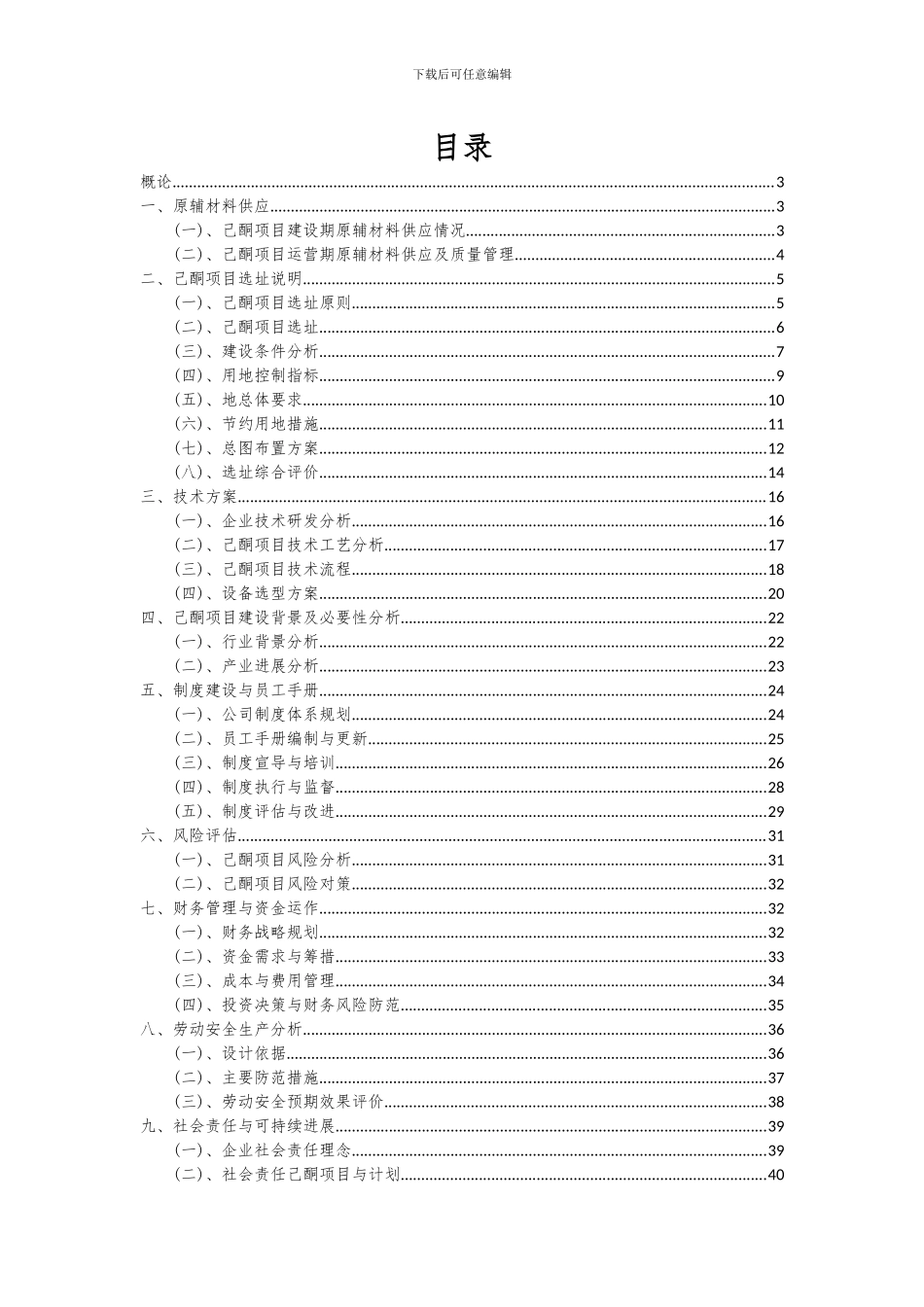 2024年己酮项目深度研究分析报告_第2页