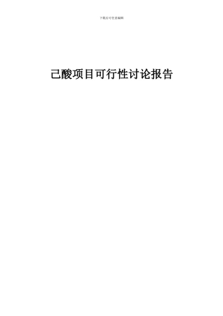 2024年己酸项目可行性研究报告