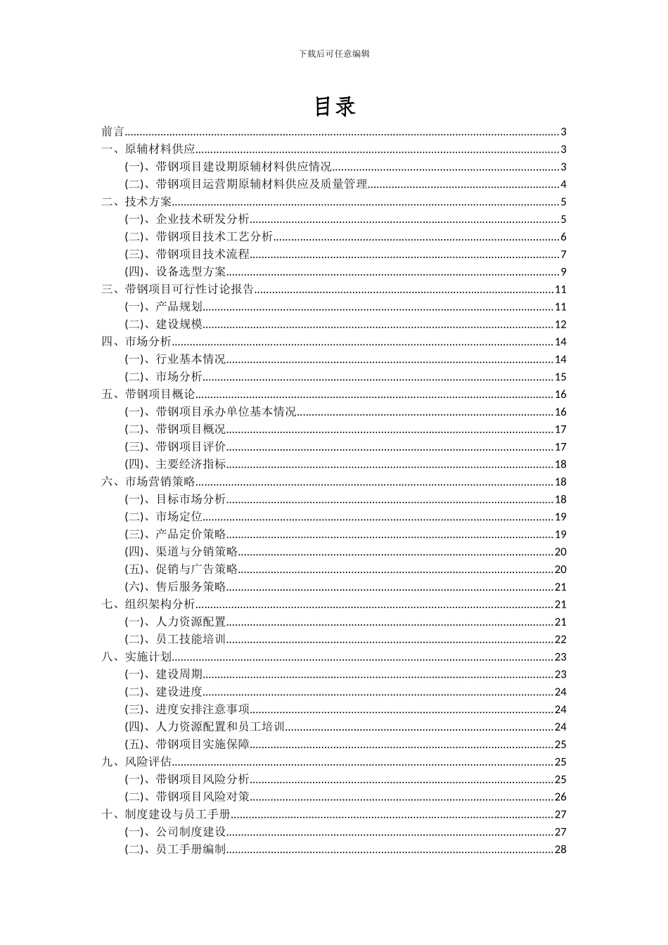 2024年带钢项目投资分析及可行性报告_第2页
