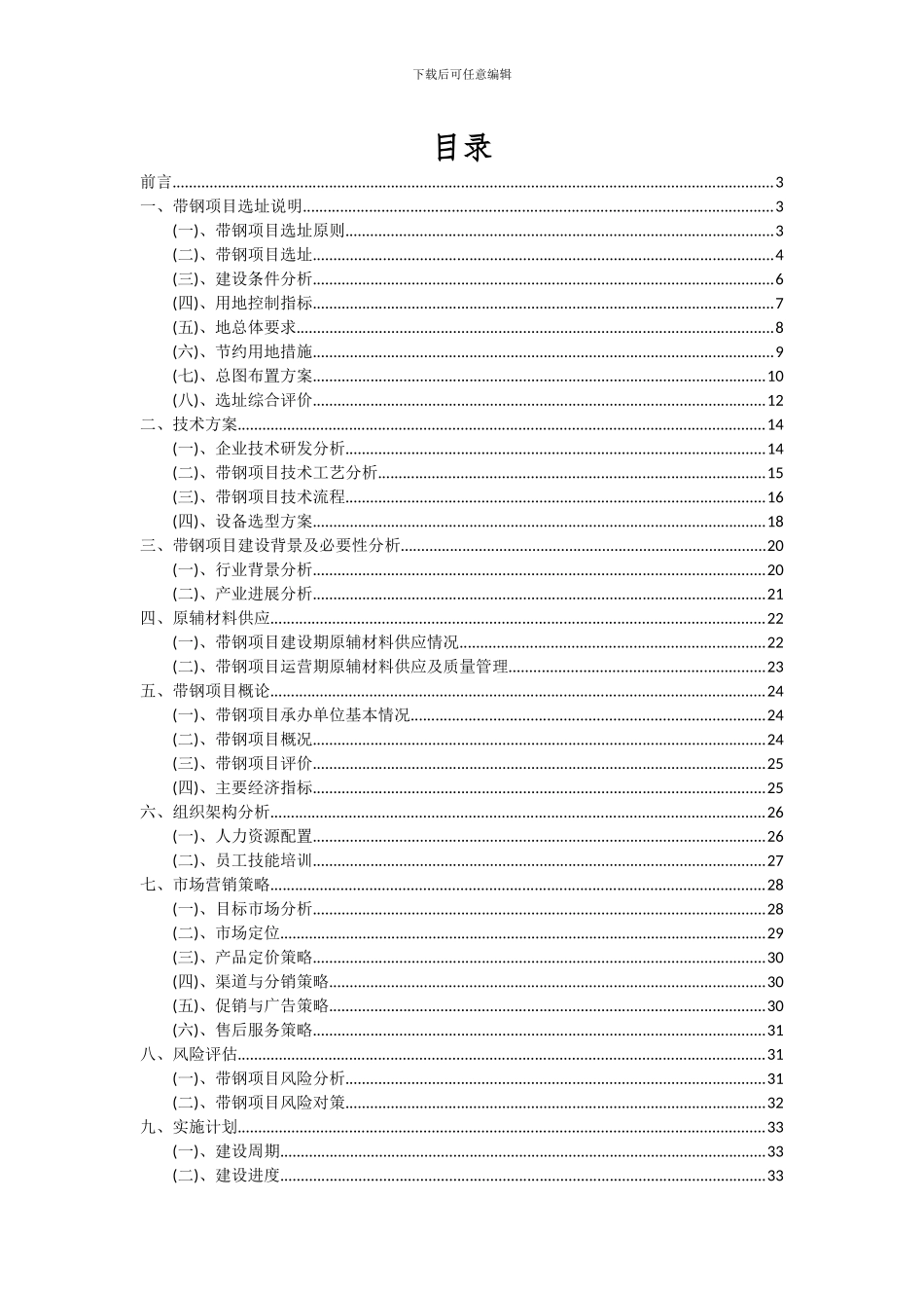 2024年带钢项目深度研究分析报告_第2页