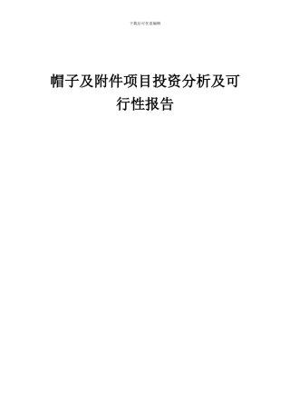 2024年帽子及附件项目投资分析及可行性报告