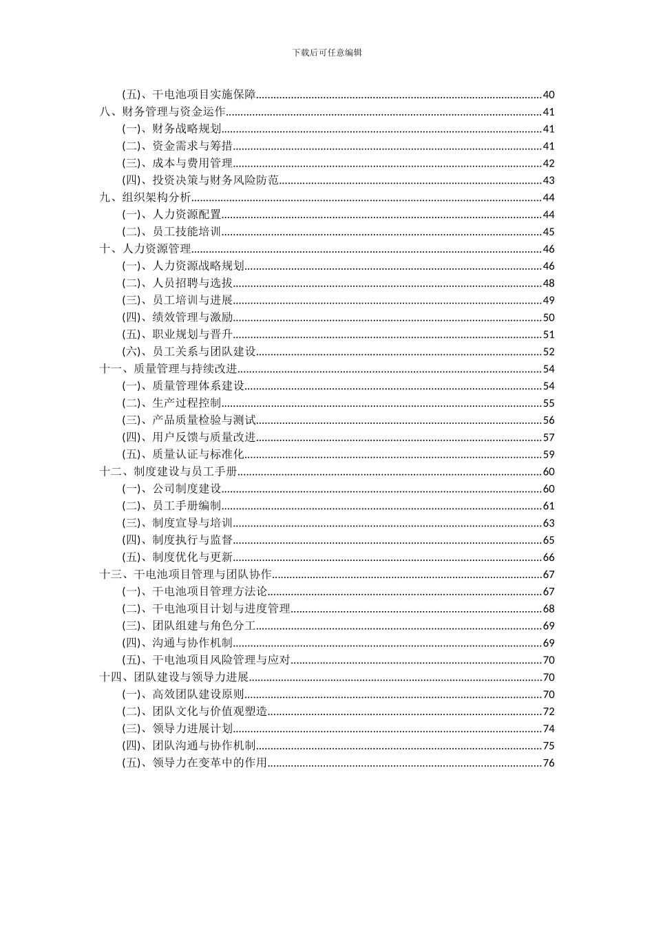 2024年干电池项目可行性分析报告_第3页