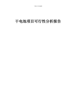 2024年干电池项目可行性分析报告
