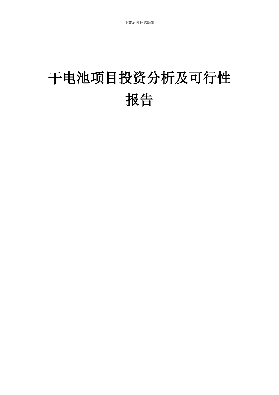 2024年干电池项目投资分析及可行性报告_第1页