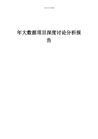 2024年年大数据项目深度研究分析报告