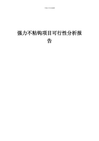 2024年强力不粘钩项目可行性分析报告