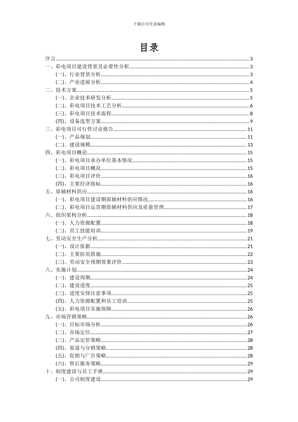 2024年彩电项目可行性分析报告_第2页