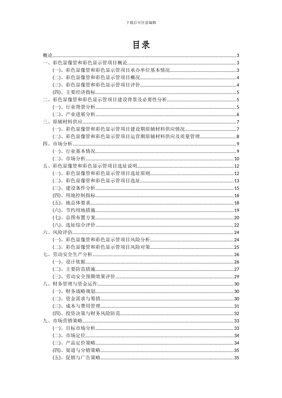 2024年彩色显像管和彩色显示管项目深度研究分析报告_第2页