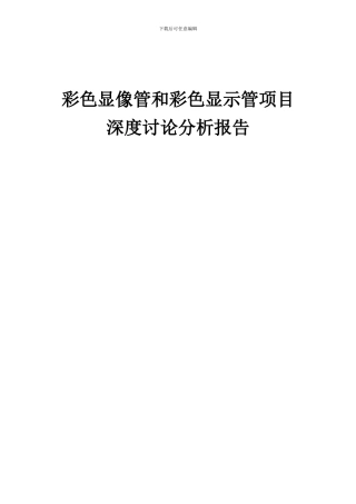 2024年彩色显像管和彩色显示管项目深度研究分析报告