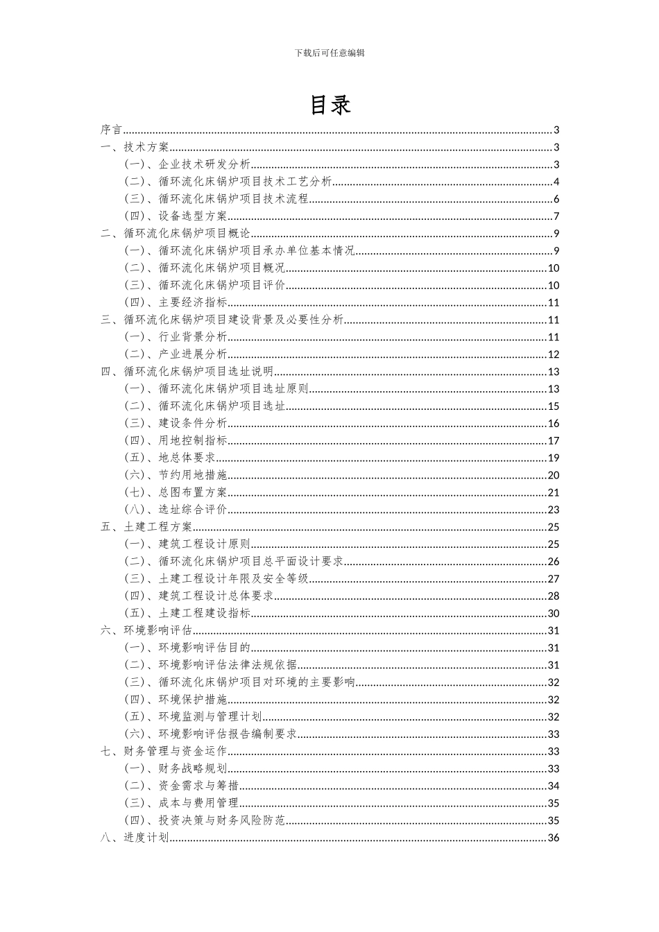 2024年循环流化床锅炉项目可行性研究报告_第2页