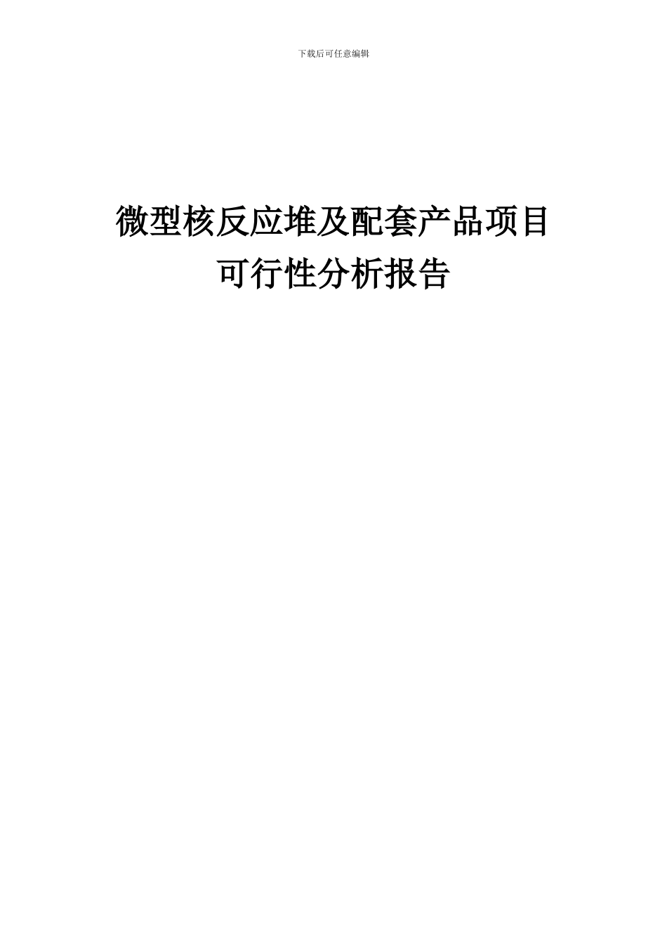 2024年微型核反应堆及配套产品项目可行性分析报告_第1页