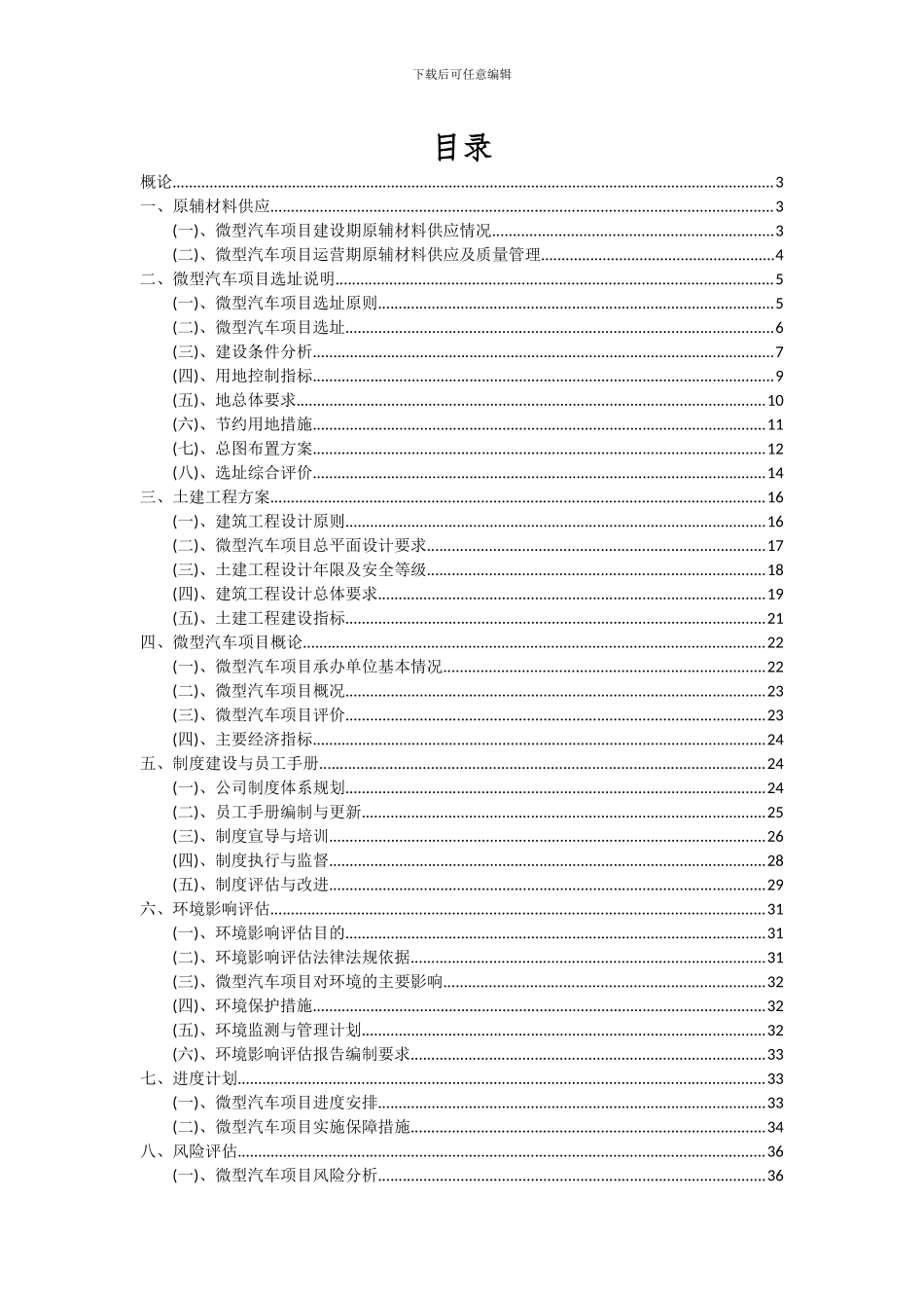 2024年微型汽车项目深度研究分析报告_第2页